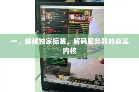 一、超越独家标签,解码服务器的真实内核 一、超越独家标签,解码服务器的真实内核