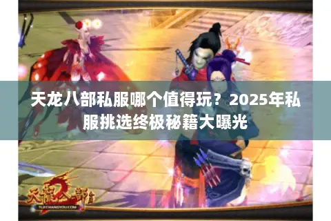 天龙八部私服哪个值得玩？2025年私服挑选终极秘籍大曝光
