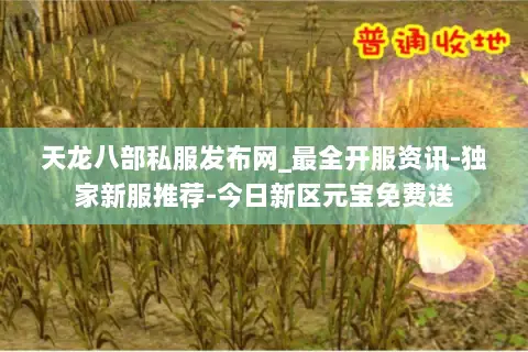 天龙八部私服发布网_最全开服资讯-独家新服推荐-今日新区元宝免费送