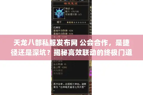 天龙八部私服发布网 公会合作,是捷径还是深坑?揭秘高效联动的终极门道 天龙八部私服发布网 公会合作,是捷径还是深坑?揭秘高效联动的终极门道