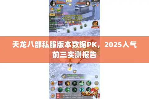 天龙八部私服版本数据PK，2025人气前三实测报告