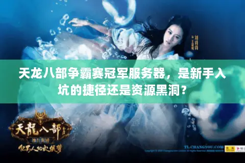 天龙八部争霸赛冠军服务器,是新手入坑的捷径还是资源黑洞? 天龙八部争霸赛冠军服务器,是新手入坑的捷径还是资源黑洞?