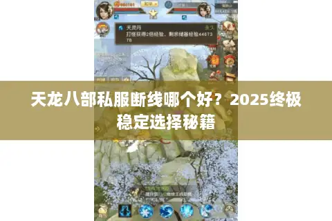 天龙八部私服断线哪个好?2025终极稳定选择秘籍 天龙八部私服断线哪个好?2025终极稳定选择秘籍