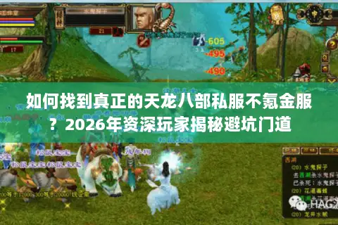 如何找到真正的天龙八部私服不氪金服?2026年资深玩家揭秘避坑门道 如何找到真正的天龙八部私服不氪金服?2026年资深玩家揭秘避坑门道