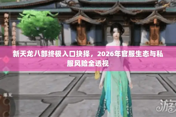 新天龙八部终极入口抉择，2026年官服生态与私服风险全透视