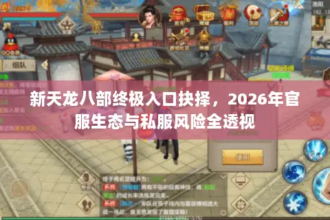 新天龙八部终极入口抉择，2026年官服生态与私服风险全透视