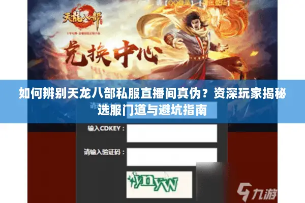 如何辨别天龙八部私服直播间真伪？资深玩家揭秘选服门道与避坑指南