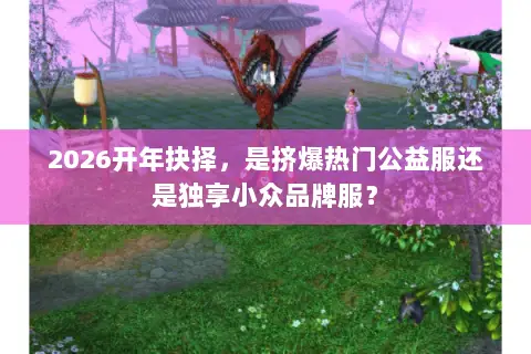 2026开年抉择,是挤爆热门公益服还是独享小众品牌服? 2026开年抉择,是挤爆热门公益服还是独享小众品牌服?
