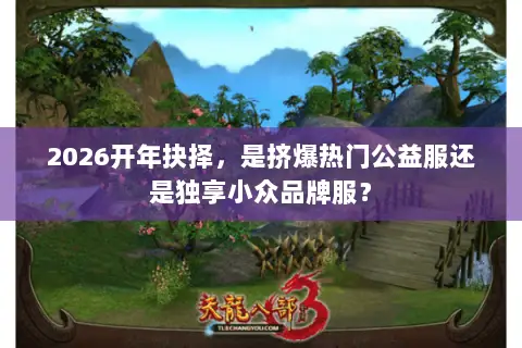 2026开年抉择,是挤爆热门公益服还是独享小众品牌服? 2026开年抉择,是挤爆热门公益服还是独享小众品牌服?
