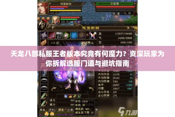 天龙八部私服王者版本究竟有何魔力?资深玩家为你拆解选服门道与避坑指南 天龙八部私服王者版本究竟有何魔力?资深玩家为你拆解选服门道与避坑指南