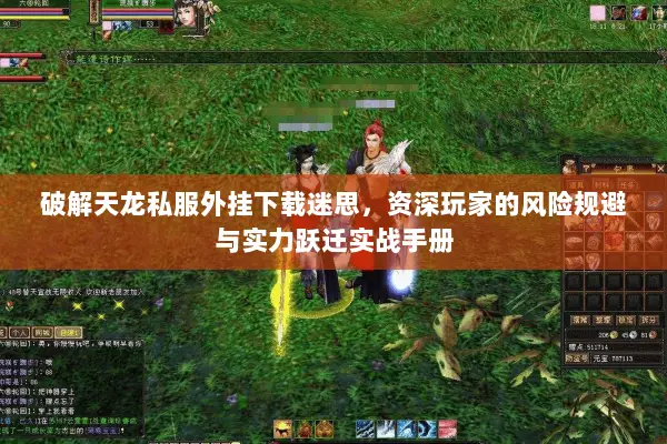 破解天龙私服外挂下载迷思，资深玩家的风险规避与实力跃迁实战手册