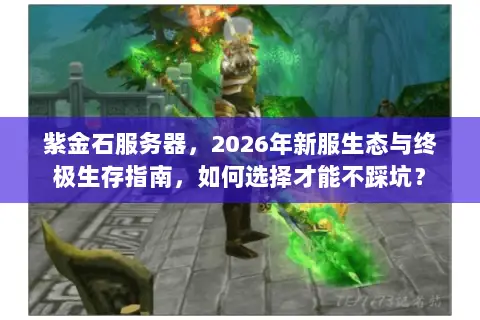 紫金石服务器,2026年新服生态与终极生存指南,如何选择才能不踩坑? 紫金石服务器,2026年新服生态与终极生存指南,如何选择才能不踩坑?