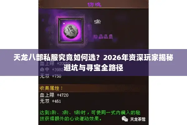 天龙八部私服究竟如何选？2026年资深玩家揭秘避坑与寻宝全路径