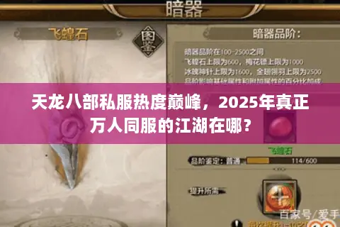 天龙八部私服热度巅峰,2025年真正万人同服的江湖在哪? 天龙八部私服热度巅峰,2025年真正万人同服的江湖在哪?