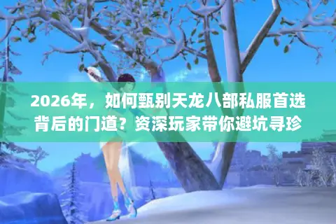 2026年，如何甄别天龙八部私服首选背后的门道？资深玩家带你避坑寻珍