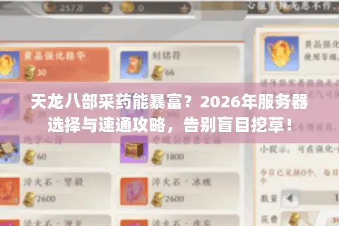 天龙八部采药能暴富?2026年服务器选择与速通攻略,告别盲目挖草! 天龙八部采药能暴富?2026年服务器选择与速通攻略,告别盲目挖草!