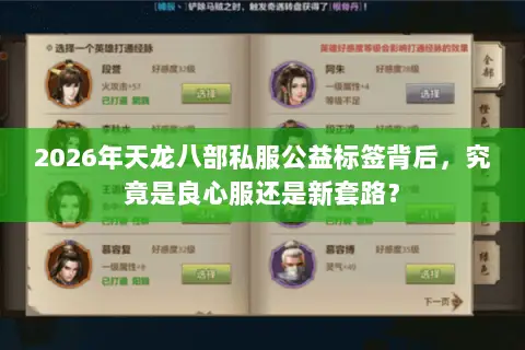 2026年天龙八部私服公益标签背后,究竟是良心服还是新套路? 2026年天龙八部私服公益标签背后,究竟是良心服还是新套路?