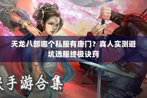 天龙八部哪个私服有唐门?真人实测避坑选服终极诀窍 天龙八部哪个私服有唐门?真人实测避坑选服终极诀窍