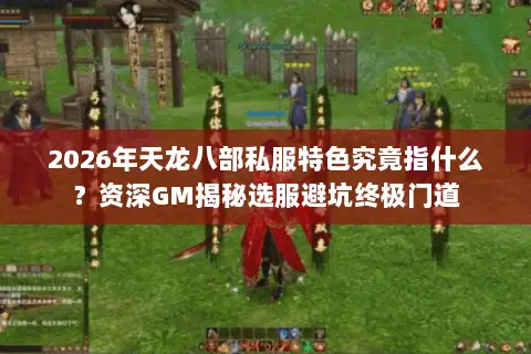 2026年天龙八部私服特色究竟指什么？资深GM揭秘选服避坑终极门道
