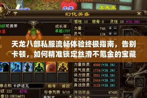 天龙八部私服流畅体验终极指南，告别卡顿，如何精准锁定丝滑不氪金的宝藏服务器？