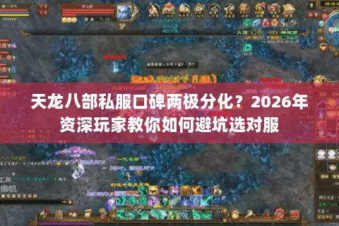 天龙八部私服口碑两极分化?2026年资深玩家教你如何避坑选对服 天龙八部私服口碑两极分化?2026年资深玩家教你如何避坑选对服