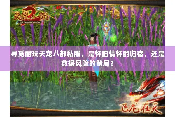 寻觅耐玩天龙八部私服,是怀旧情怀的归宿,还是数据风险的赌局? 寻觅耐玩天龙八部私服,是怀旧情怀的归宿,还是数据风险的赌局?