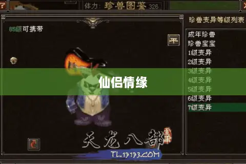 仙侣情缘 仙侣情缘