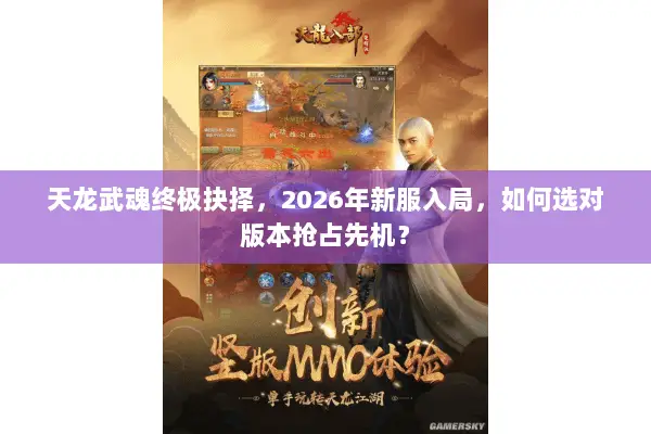天龙武魂终极抉择,2026年新服入局,如何选对版本抢占先机? 天龙武魂终极抉择,2026年新服入局,如何选对版本抢占先机?