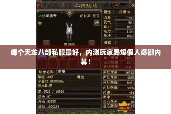 哪个天龙八部私服最好,内测玩家踢爆假人爆棚内幕! 哪个天龙八部私服最好,内测玩家踢爆假人爆棚内幕!