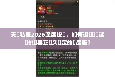 天龍私服2026深度抉擇,如何避開數據迷霧挑選真正長久穩定的極品服? 天龍私服2026深度抉擇,如何避開數據迷霧挑選真正長久穩定的極品服?