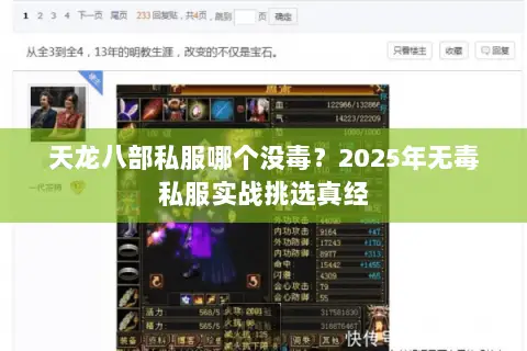 天龙八部私服哪个没毒？2025年无毒私服实战挑选真经