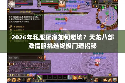 2026年私服玩家如何避坑?天龙八部激情服挑选终极门道揭秘 2026年私服玩家如何避坑?天龙八部激情服挑选终极门道揭秘