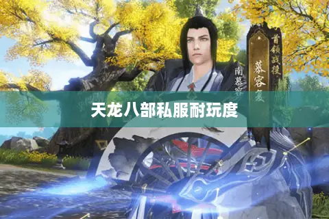 天龙八部私服耐玩度 天龙八部私服耐玩度