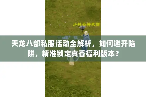 天龙八部私服活动全解析,如何避开陷阱,精准锁定真香福利版本? 天龙八部私服活动全解析,如何避开陷阱,精准锁定真香福利版本?