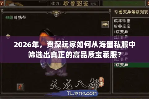 2026年,资深玩家如何从海量私服中筛选出真正的高品质宝藏服? 2026年,资深玩家如何从海量私服中筛选出真正的高品质宝藏服?