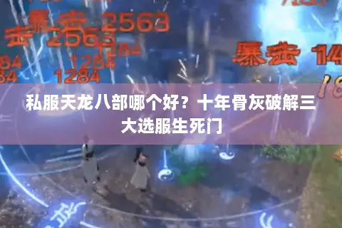 私服天龙八部哪个好？十年骨灰破解三大选服生死门