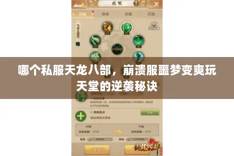哪个私服天龙八部,崩溃服噩梦变爽玩天堂的逆袭秘诀 哪个私服天龙八部,崩溃服噩梦变爽玩天堂的逆袭秘诀