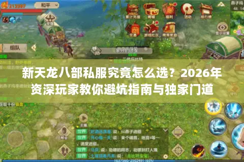 新天龙八部私服究竟怎么选？2026年资深玩家教你避坑指南与独家门道