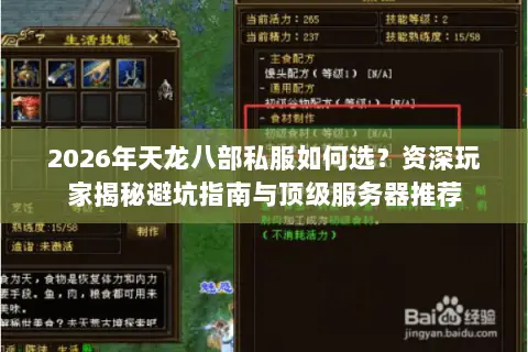 2026年天龙八部私服如何选？资深玩家揭秘避坑指南与顶级服务器推荐