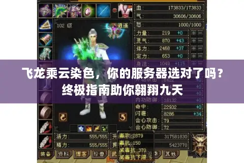 飞龙乘云染色,你的服务器选对了吗?终极指南助你翱翔九天 飞龙乘云染色,你的服务器选对了吗?终极指南助你翱翔九天
