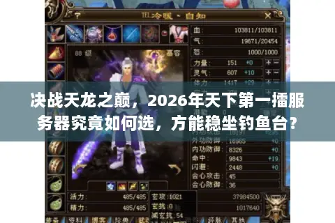 决战天龙之巅,2026年天下第一擂服务器究竟如何选,方能稳坐钓鱼台? 决战天龙之巅,2026年天下第一擂服务器究竟如何选,方能稳坐钓鱼台?