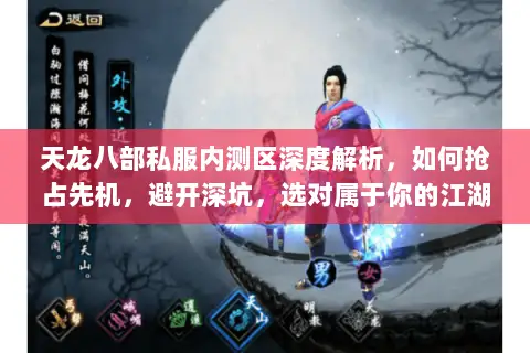 天龙八部私服内测区深度解析,如何抢占先机,避开深坑,选对属于你的江湖? 天龙八部私服内测区深度解析,如何抢占先机,避开深坑,选对属于你的江湖?