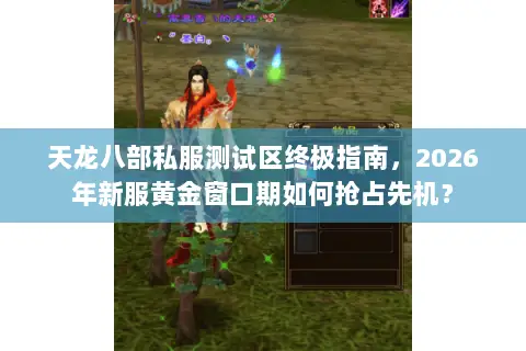 天龙八部私服测试区终极指南，2026年新服黄金窗口期如何抢占先机？