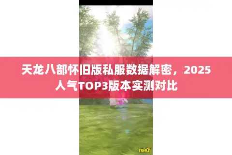 天龙八部怀旧版私服数据解密,2025人气TOP3版本实测对比 天龙八部怀旧版私服数据解密,2025人气TOP3版本实测对比