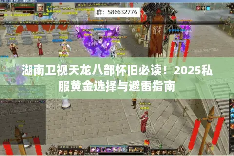 湖南卫视天龙八部怀旧必读！2025私服黄金选择与避雷指南