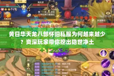 黄日华天龙八部怀旧私服为何越来越少?资深玩家带你挖出隐世净土 黄日华天龙八部怀旧私服为何越来越少?资深玩家带你挖出隐世净土