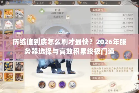 历练值到底怎么刷才最快？2026年服务器选择与高效积累终极门道