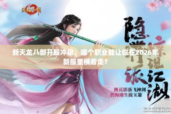 新天龙八部开服冲级,哪个职业能让你在2026年新服里横着走? 新天龙八部开服冲级,哪个职业能让你在2026年新服里横着走?