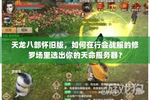 天龙八部怀旧版，如何在行会战服的修罗场里选出你的天命服务器？