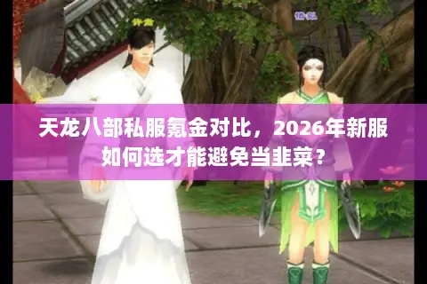 天龙八部私服氪金对比，2026年新服如何选才能避免当韭菜？